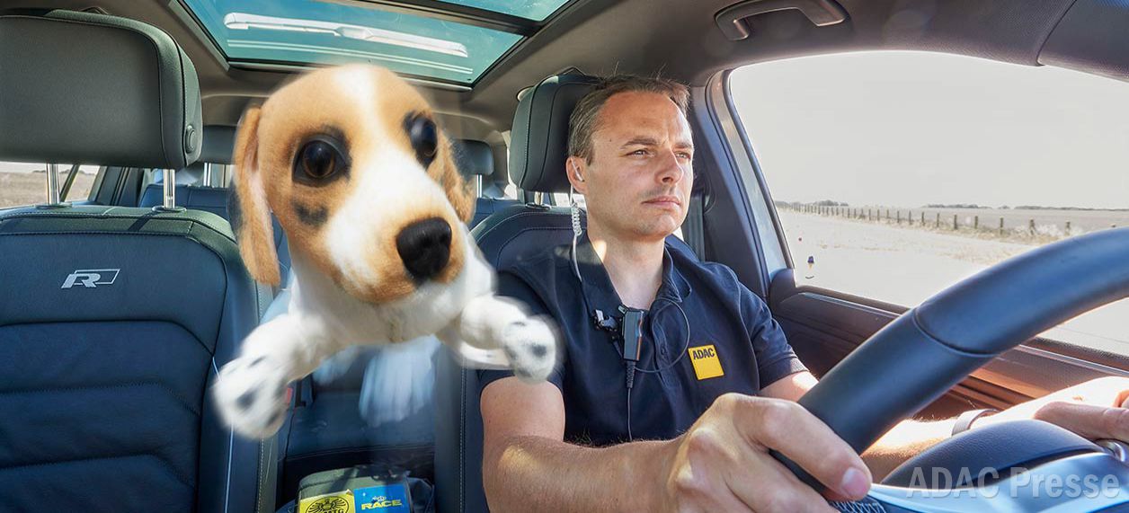Hund im Auto – mit dem Vierbeiner sicher unterwegs