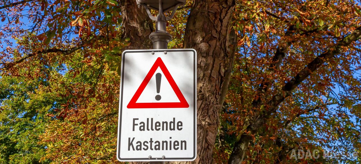 Im Herbst sollten Autofahrer besonders vorsichtig bei der Parkplatzwahl sein. / Adobe Stock 