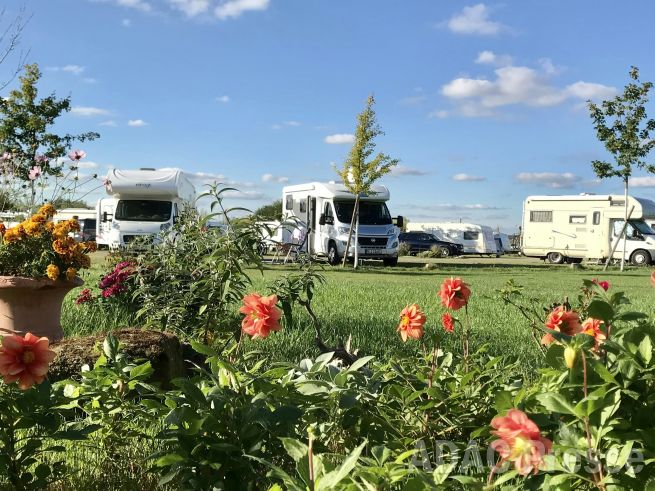 Platz 3 in Thüringen: Campingpark-Erfurt / PiNCAMP Campingpark Erfurt