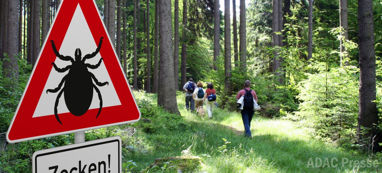 ADAC gibt Tipps zum Schutz vor Zecken in Hessen