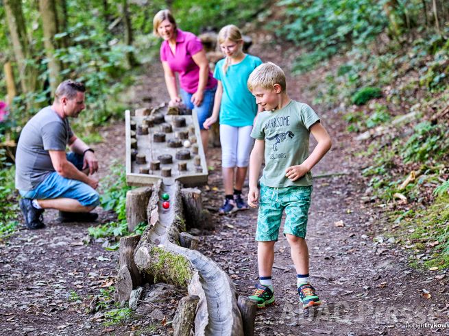 Der Sonderpreis für besonders kinder- und familienfreundliche Betriebe ging an 