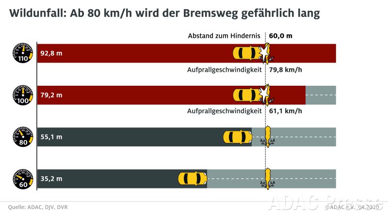 infografik zeigt die bremswege bei verschiedenen geschwindigkeiten